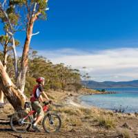 Cycling on Maria Island | Andrew Bain