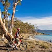 Cycling on Maria Island | Andrew Bain