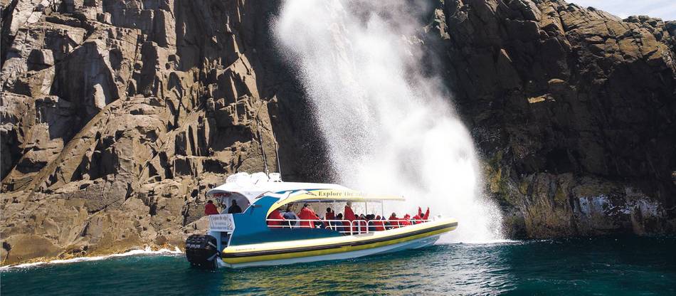 tasman island boat tour