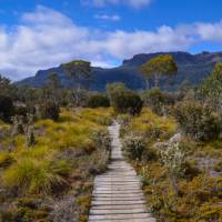 The Overland Track, Tasmania's most famous walk |  <i>Mark Whitelock</i>