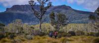 Trekking the spectacular Overland Track
 | Mark Whitelock