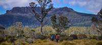 Trekking the spectacular Overland Track
 | Mark Whitelock