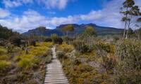 The Overland Track, Tasmania's most famous walk |  <i>Mark Whitelock</i>