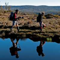 Walking along Wild Dog Creek in the Walls of Jerusalem | Don Fuchs