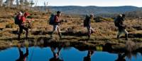 Walking along Wild Dog Creek in the Walls of Jerusalem | Don Fuchs