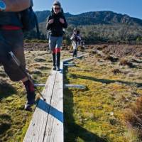 Walkers hiking near Wild Dog Creek Campsite in Walls of Jerusalem | Don Fuchs