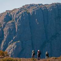 Trekkers in the Walls of Jerusalem National Park walking towards Mt Jerusalem | Don Fuchs