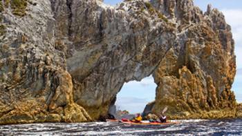 Wallaby Bay,Roaring Forties Exploring Wallaby Bay by kayak on the Port Davey trip