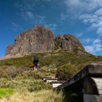 Hiking up the stairs towards Dolerite Peak in Walls of Jerusalem National Park | Benny Plunkett