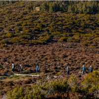 Walls of Jerusalem Trek in Winter | John Dalton