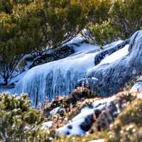 Walls of Jerusalem Trek in Winter | John Dalton