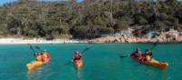 Experience Wineglass Bay by kayak | David Sinclair