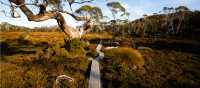 The famous boardwalks on the Overland Track | Matt Horspool