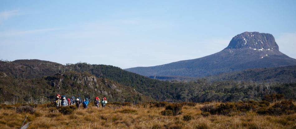 Overland track tour online
