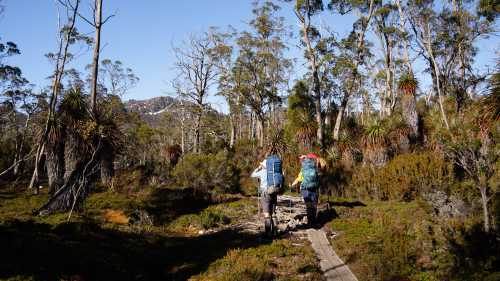 Soaking in the beauty of the Overland Track