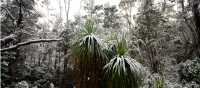Experience the Overland Track during winter | Matt Horspool