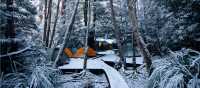 Winter camp on the Overland Track | Matt Horspool