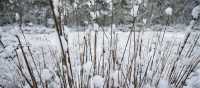 Experience the Overland Track during winter | Matt Horspool