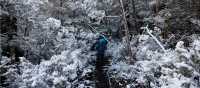 Experience the Overland Track during winter | Matt Horspool