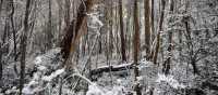 Experience the Overland Track during winter | Matt Horspool
