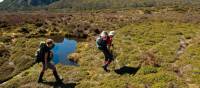 Trekking through pristine landscape in the Walls of Jerusalem National Park | Don Fuchs