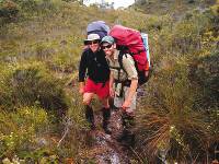 Trekkers enjoying the South Coast track |  <i>Gary Hayes</i>