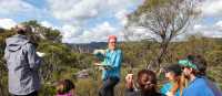 Caro Ryan presenting a navigation course in the Blue Mountains | Rachel Diamond