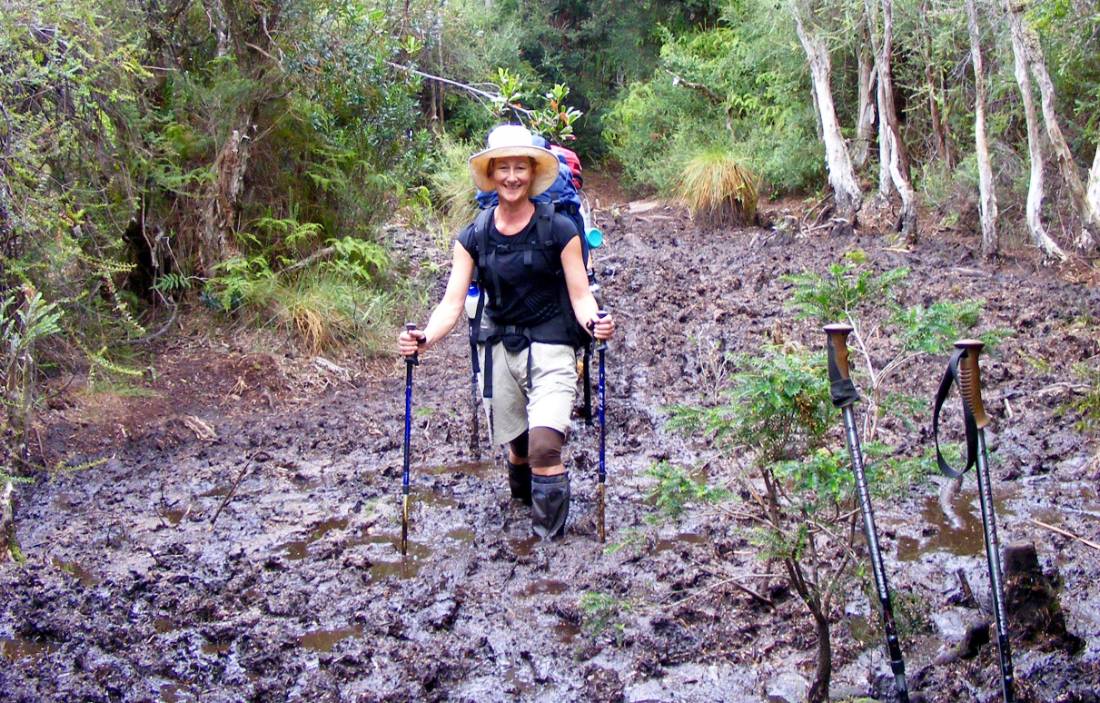 Sue on the South Coast Track