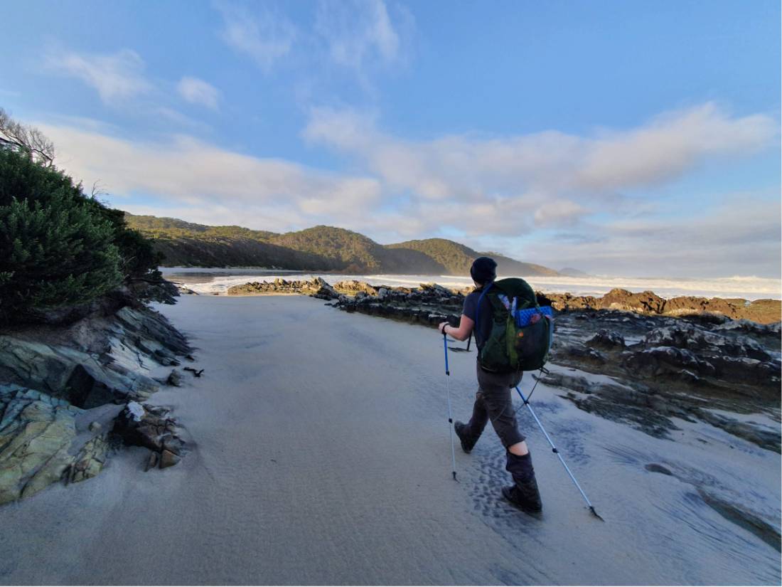 Exploring the South Coast Track