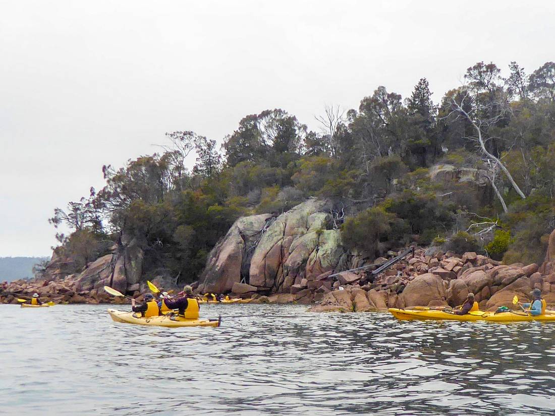 Kayaking in Coles Bay