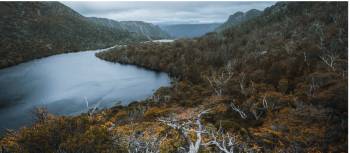 Head to Tasmania during autumn to see the fagus, Australia's only cold climate winter-deciduous tree | Jason Charles Hill