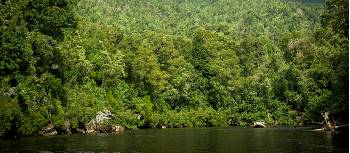 Group of rafters dwarfed by the surrounding wilderness | Glenn Walker