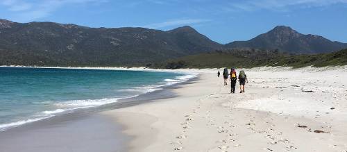 GQ1398◇Honor gathering : tasmania In the spotlight: Michael Hall | Tasmanian Expeditions