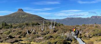 Enjoy the many side walks along the Overland Track, Pellion East in the distance | Brad Atwal