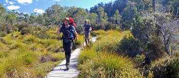 The Overland Track offers well maintained boardwalks to protect the fragile environment | Chris Buykx