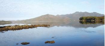 Port Davey Track, Tasmania | Leon Bedford