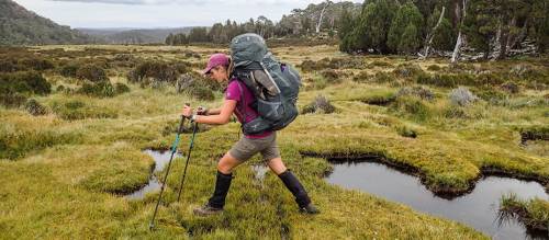 How to use walking poles