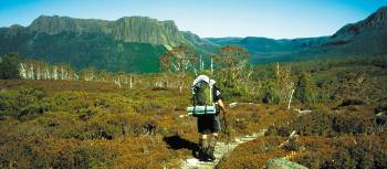 Explore the pristine wilderness along the Overland Track in the heart of this World Heritage area. | Stephanie Davies-Evans