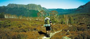 Explore the pristine wilderness along the Overland Track in the heart of this World Heritage area. | Stephanie Davies-Evans