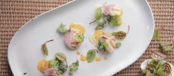 Tasmanian scallops with chardonnay butter | Peter Kuruvita